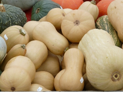 Foto Plantar branco comida produzir