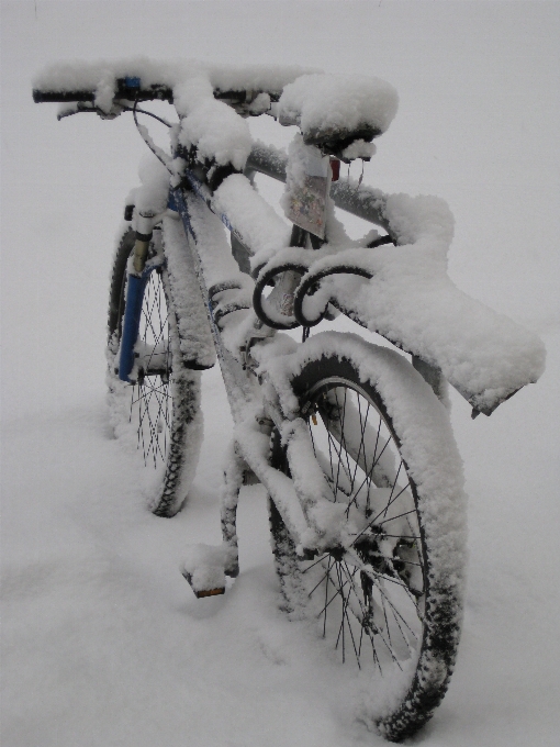 Schnee winter weiss fahrrad