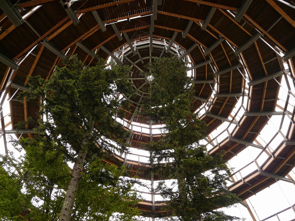 Forêt structure promenade spirale