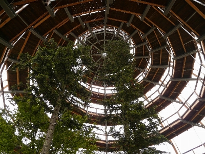 Photo Forêt structure promenade spirale