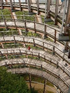 Forest boardwalk wood spiral Photo