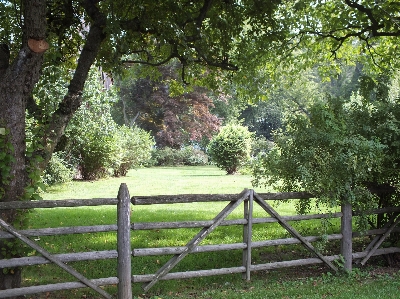 Landscape tree grass fence Photo