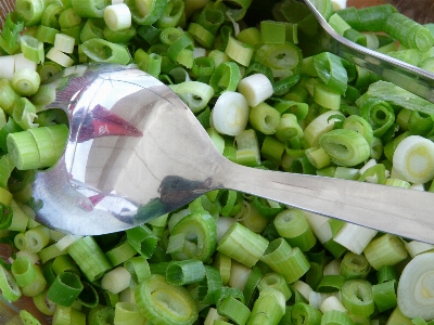 Plant flower dish food Photo