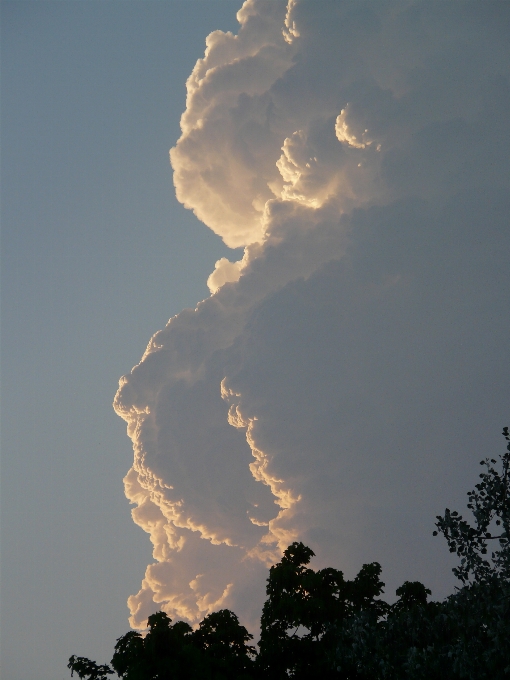 Cloud sky sunset sunlight