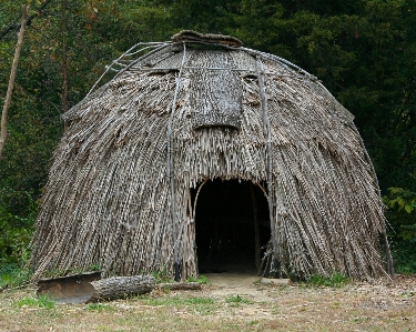 木 家 吠える 小屋 写真