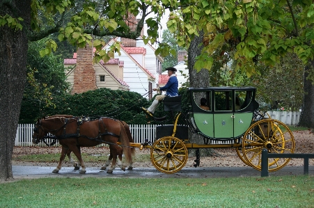 Farm cart flower travel Photo