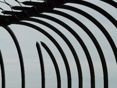 Fence black and white spiral glass Photo