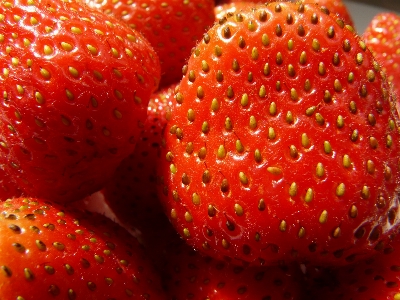 Foto Planta fruta dulce pétalo