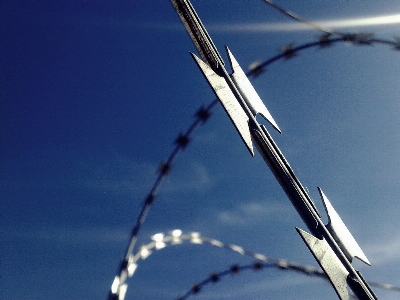 Branch snow wing barbed wire Photo