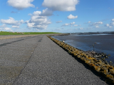 Beach sea coast sand Photo