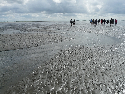 Beach sea coast water Photo