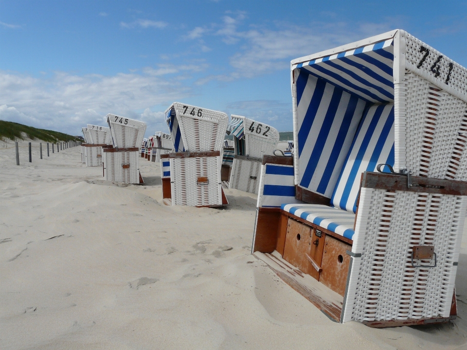 Strand schnee winter holz