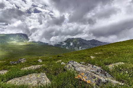 Landscape sea coast nature Photo