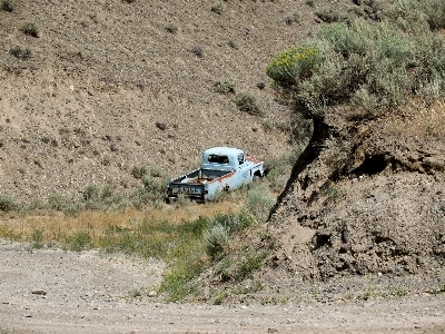 Tree car automobile desert Photo