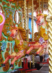 Recreation carnival amusement park horse Photo