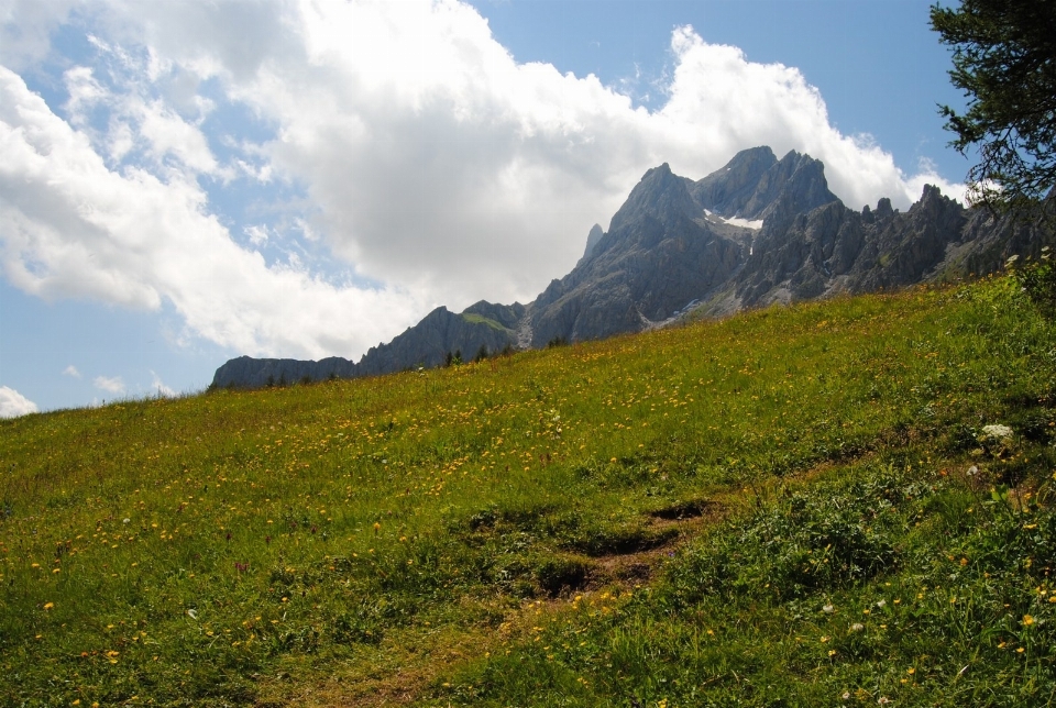 Krajobraz natura trawa pustynia
