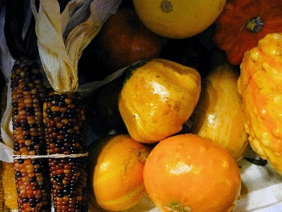 Plant fruit leaf fall Photo