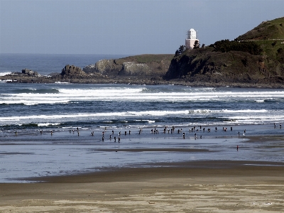 Beach landscape sea coast Photo