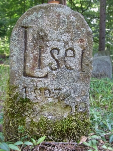 Forest rock monument peaceful Photo