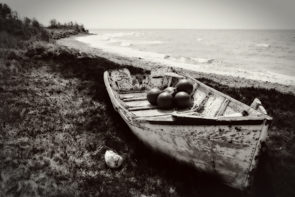 Plage mer côte noir et blanc
