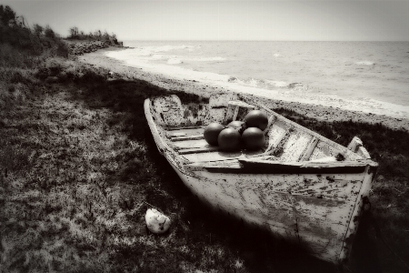 ビーチ 海 海岸 黒と白
 写真