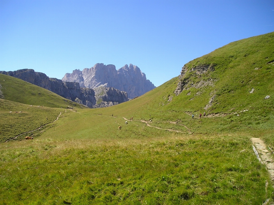 Krajobraz natura trawa pustynia
