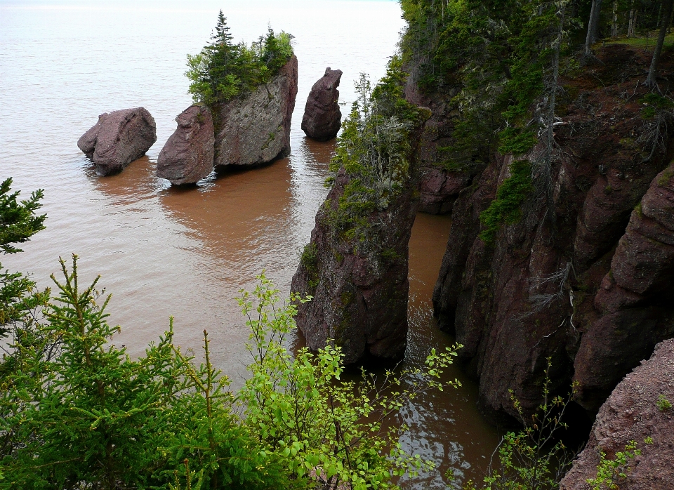 風景 水 自然 rock