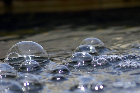 Foto Acqua natura freddo gocciolare