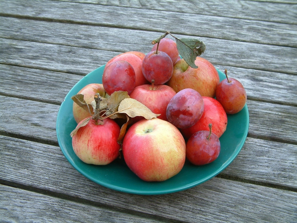 Apple 植物 フルーツ 食べ物