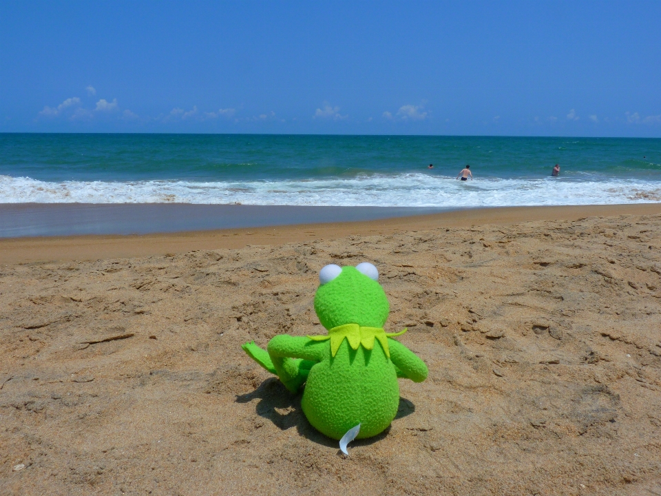 Plage mer eau sable