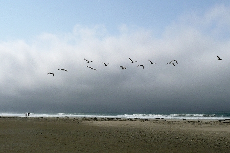 Beach sea coast nature Photo