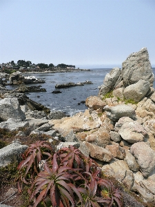 Beach landscape sea coast Photo