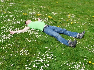 男 草 人 植物 写真