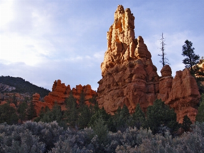 Landscape tree nature rock Photo