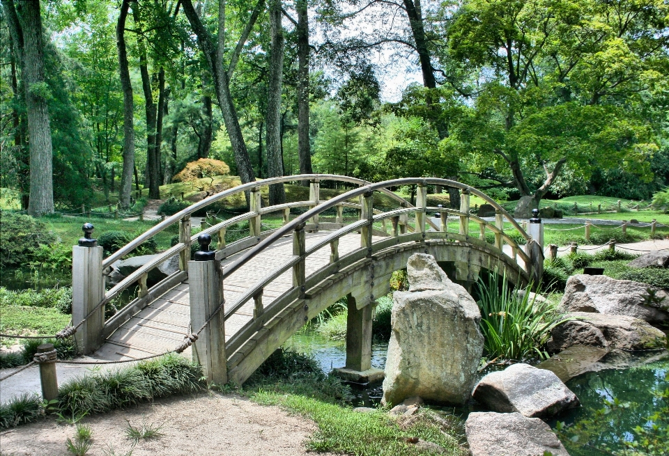 Tree forest path architecture