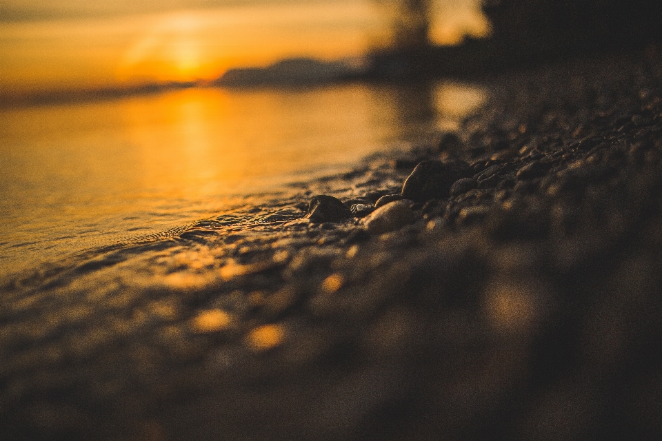 Playa mar agua naturaleza