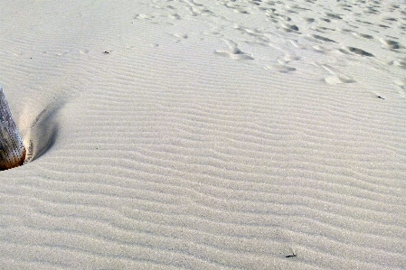 Sea sand snow wing Photo