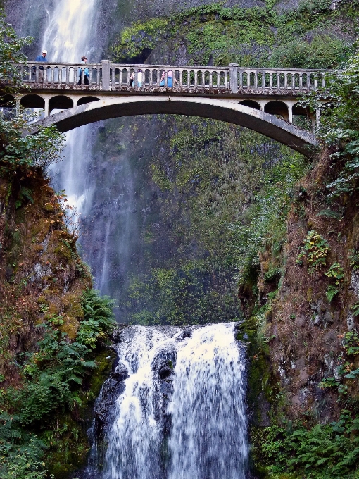 Paisaje agua naturaleza cascada