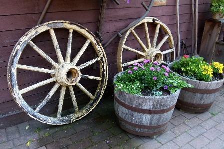 Plant wheel cart pot Photo