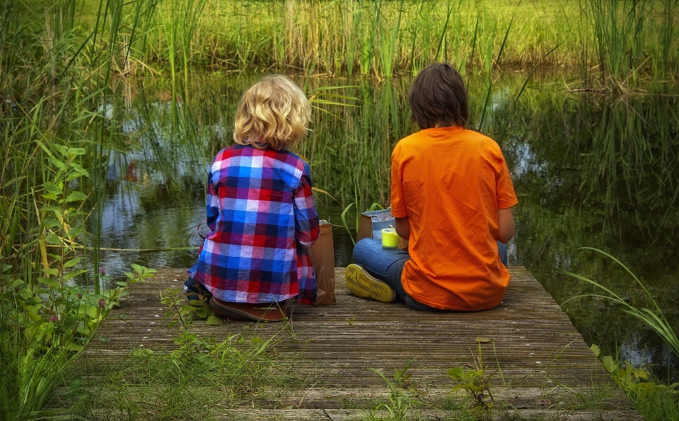 Gras menschen anlage grün