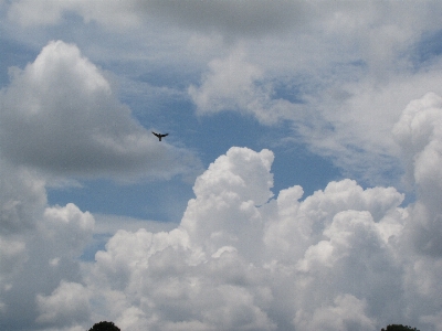 アウトドア 羽 クラウド 空 写真