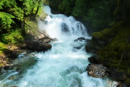 Landscape water nature forest Photo