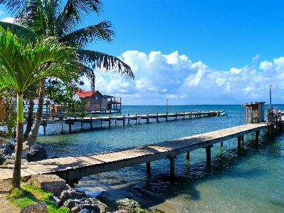 Beach sea coast ocean Photo