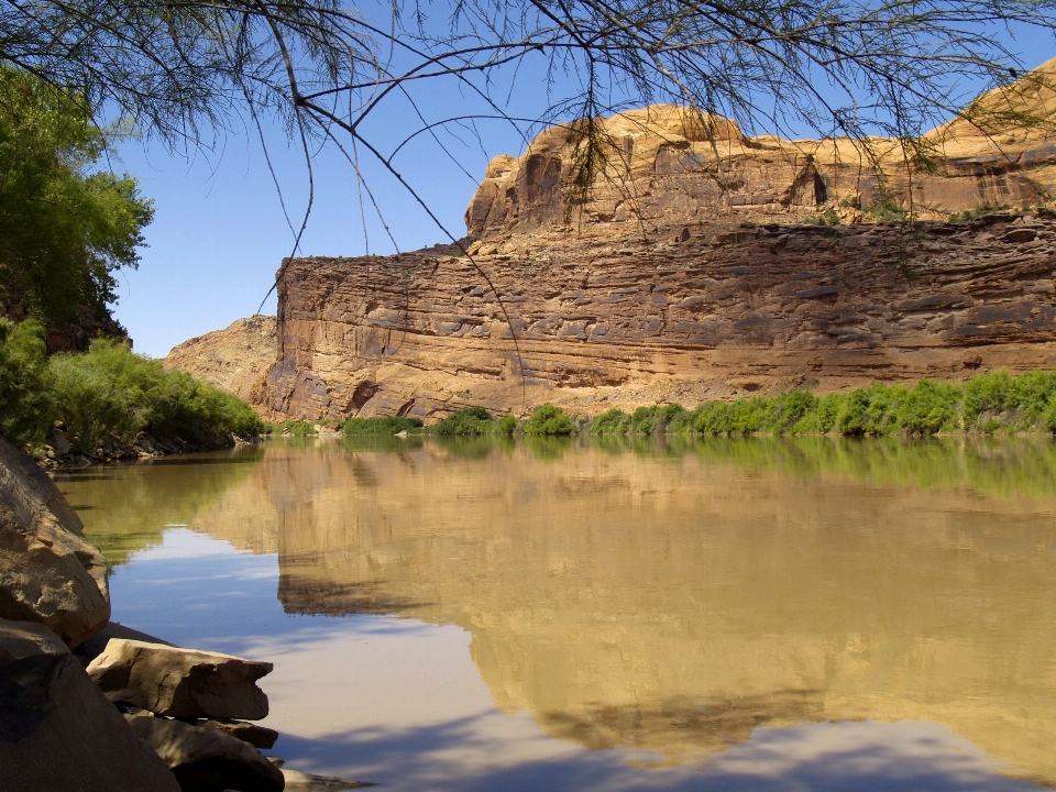 Paisagem árvore água rock