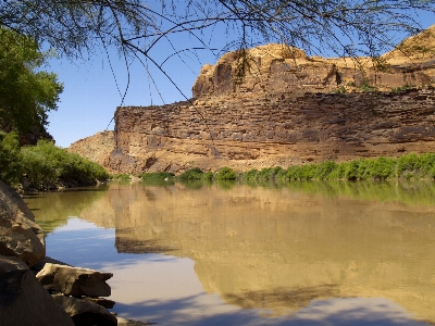 Landschaft baum wasser rock Foto