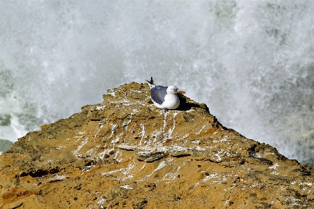 Water nature rock snow Photo