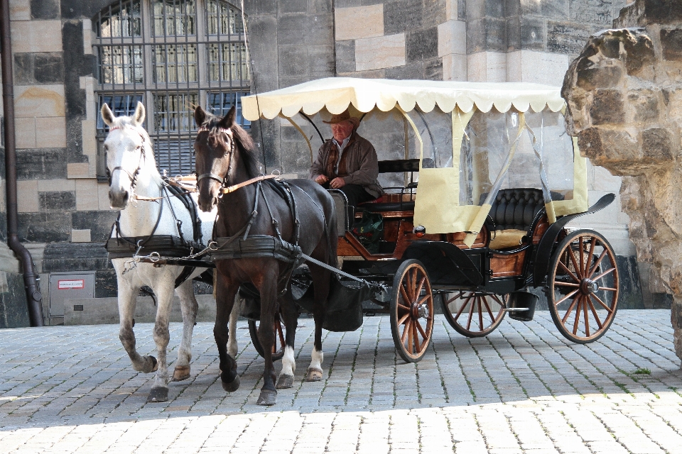 Street cart transport vehicle