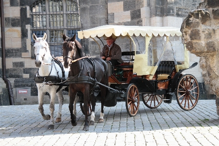 Street cart transport vehicle Photo