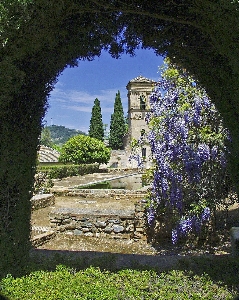 Landscape tree rock architecture Photo