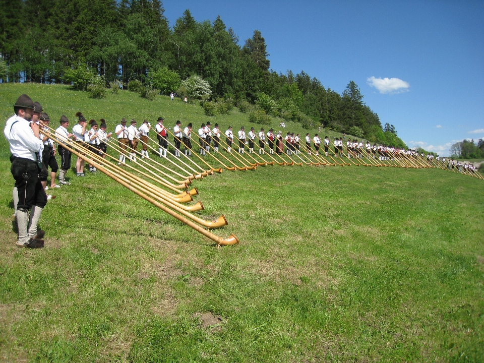 Erba cielo campo prato